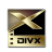 Divx Black and Gold-48