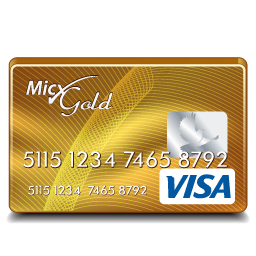 Visa Gold-256