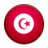 Flag of Tunisia-48