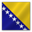 Bosnia and Herzegovina flag-48