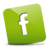 Facebook green-48