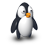 Penguine-48