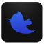 Twitter blueberry Icon
