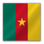 Cameroon Flag-64
