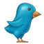 Painted Twitter Bird icon