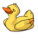 Duck-128