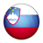 Flag of Slovenia-48