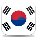 Flag of South Korea-128