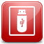 Memory red Icon