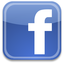 FaceBook Icon | Download Web 2.0 icons | IconsPedia