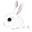 Rabbit zodiac-32