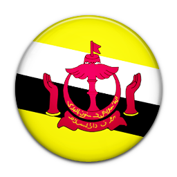 Flag of Brunei-256